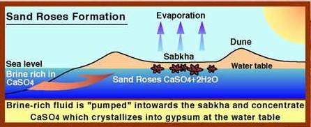 Sahara Sand Rose formation