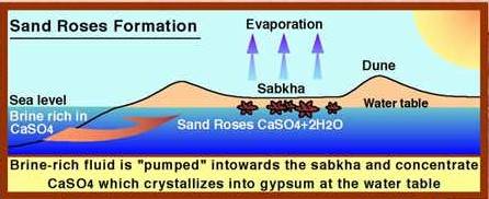 Formation des roses des sables du Sahara Algerien