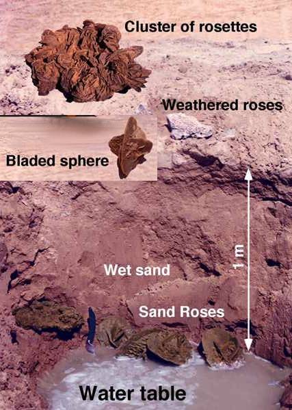 Formation des roses des sables du desert Algerien