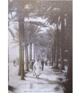 Old Photo of Algiers  Au Square  &  cedil   sous Les Palmiers