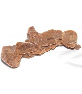 Sahara Sand Rose from Algeria &  cedil without stand 4