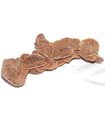 Sahara Sand Rose from Algeria  & cedil without stand 4