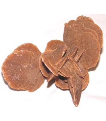 Sahara Sand Rose from Algeria & cedil  without stand 5