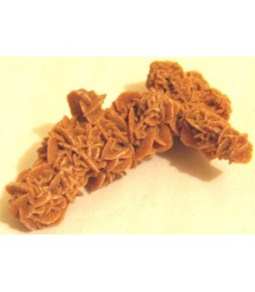 Sahara Sand Rose from Algeria & cedil without stand 6