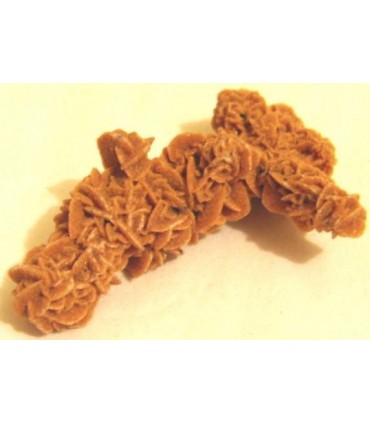 Sahara Sand Rose from Algeria & cedil  without stand 6