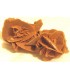 Sahara Sand Rose from Algeria&cedil  without stand 12