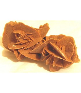 Sahara Sand Rose from Algeria&cedil  without stand 12