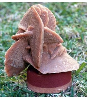 Sahara Sand Rose from Algeria&cedil  without stand 13