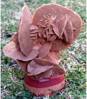 Sahara Sand Rose from Algeria&cedil without stand 16