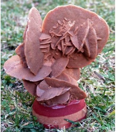 Sahara Sand Rose from Algeria&cedil without stand 16